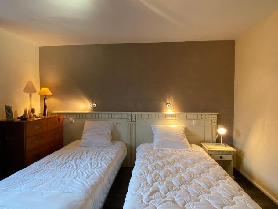 T4 De 90M2 Pour 6P. 3 Chambres. Jardin Partage. Wifi. Parking. Cauterets Exterior foto